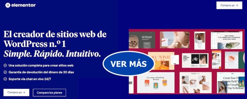 Web Y Precios De Elementor Pro