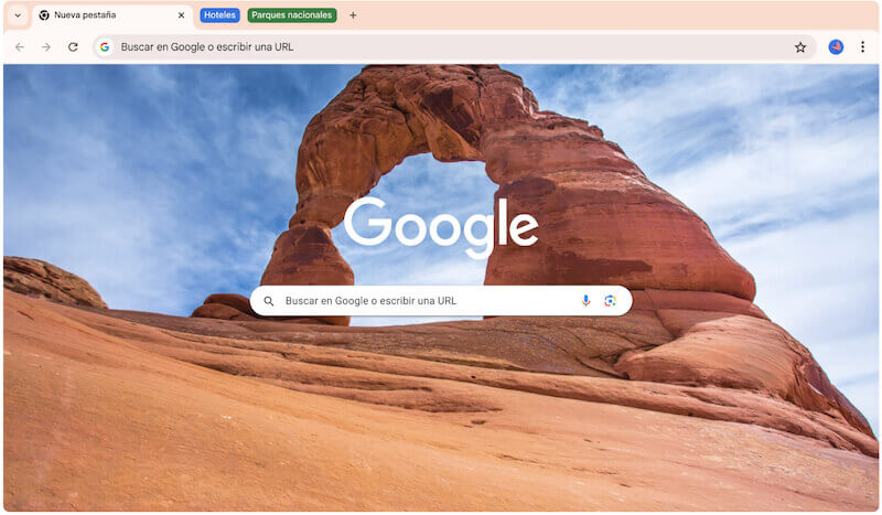 Google Chrome